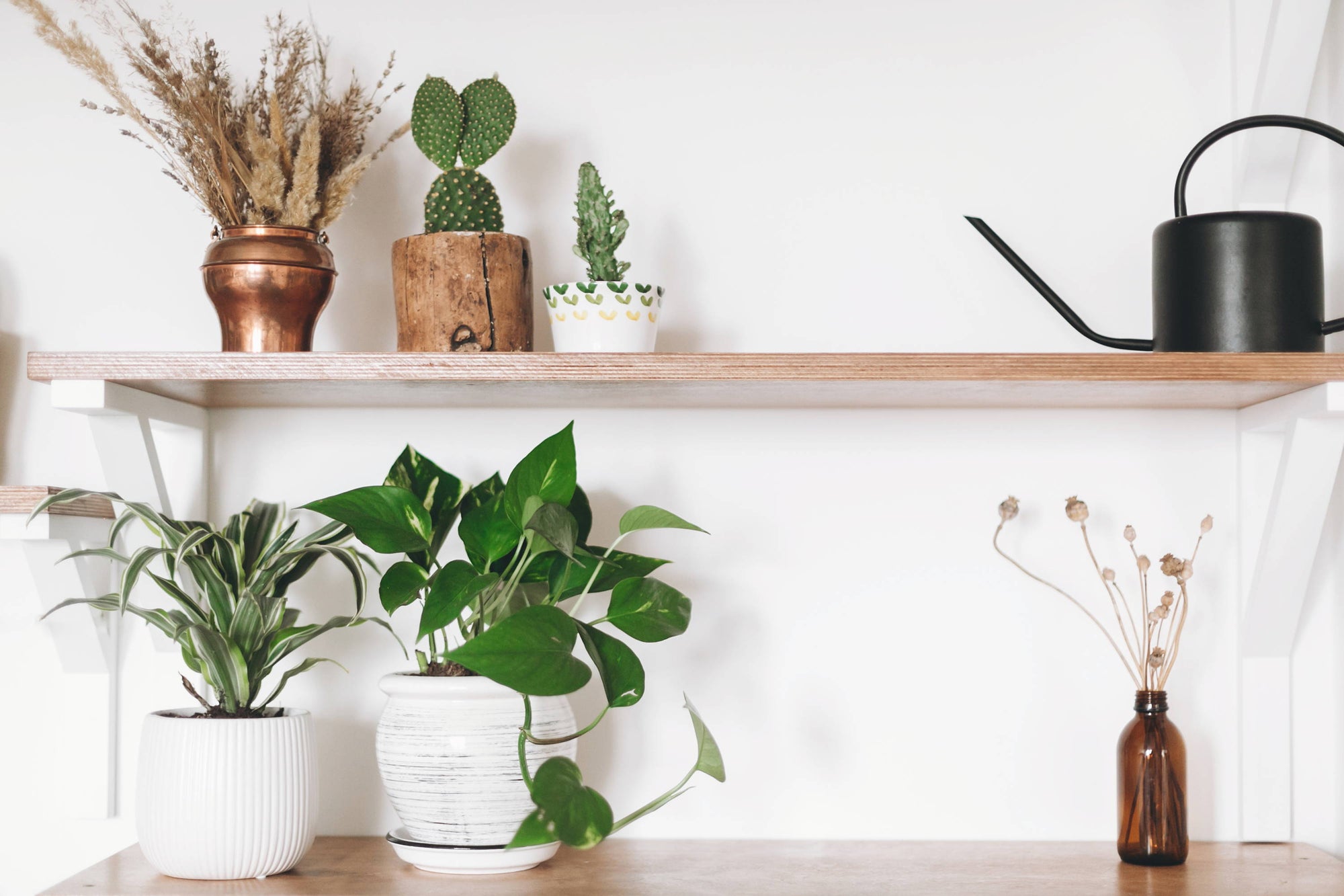 3 Ways to Cleanse Indoor Air