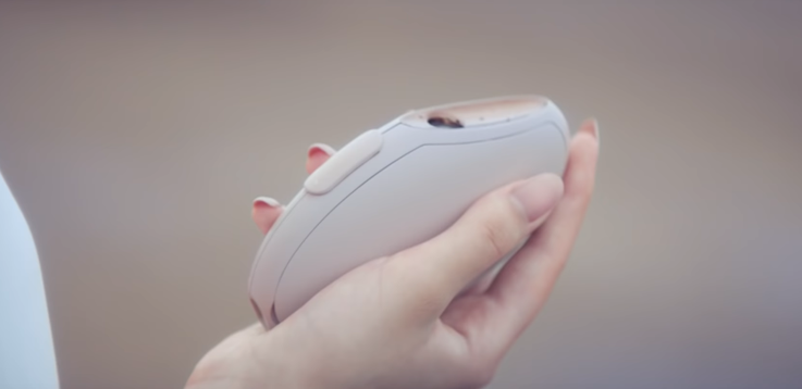 Pebble Portable Beauty Diffuser